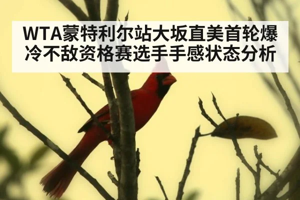 WTA蒙特利尔站大坂直美首轮爆冷不敌资格赛选手手感状态分析