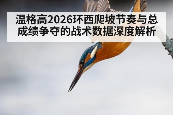 温格高2026环西爬坡节奏与总成绩争夺的战术数据深度解析